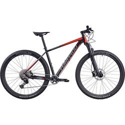 Torpado Storm X8 29 2023 frame 19