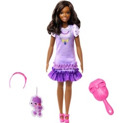 Barbie Brooklyn HLL20