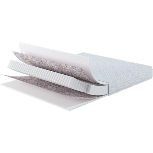 Latona Prime Fresh Kiwi 200x200