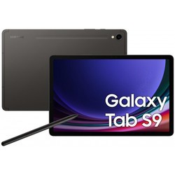 Samsung Galaxy Tab S9 128&nbsp;ГБ (серый)