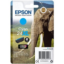 Epson T2432 C13T24324012