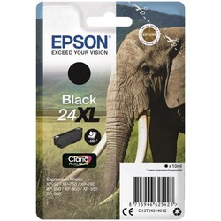 Epson T2431 C13T24314012