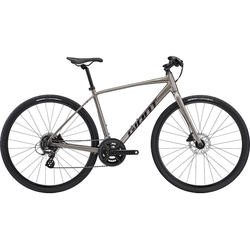 Giant Escape 2 Disc 2023 frame XS