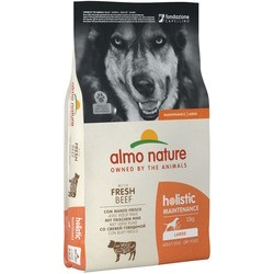 Almo Nature Holistic Adult Large Breed Beef 12 kg