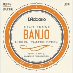 DAddario Nickel Irish Tenor Banjo 12-36
