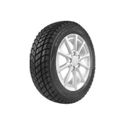 Waterfall Eco Winter 205/65 R16C 107R