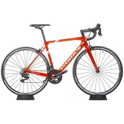 Pardus Robin Sport 105 2023 frame M (оранжевый)