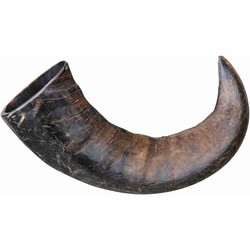 Trixie Buffalo Chewing Horn L
