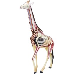 4D Master Giraffe 622011