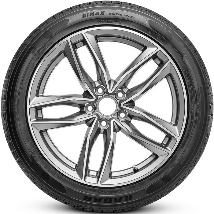 Radar Dimax Winter Sport 205/50 R17 93V Run Flat