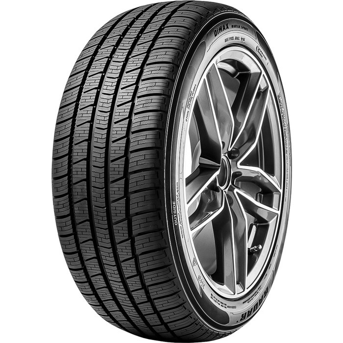 Radar Dimax Winter Sport 215/50 R17 95V