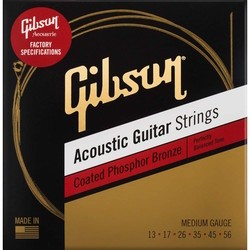 Gibson SAG-CPB13