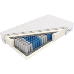 Frankhauer Posejdon 100x200