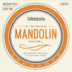 DAddario Monel Mandolin 8-String 11-41