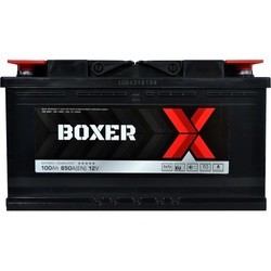 Boxer Standard 6CT-50R