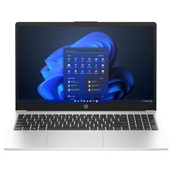 HP 250 G10 [250G10 8D4M8ES] (серебристый)