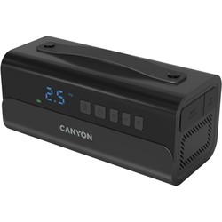 Canyon CAI-201C