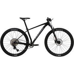 Cyclone ALX 2024 frame M