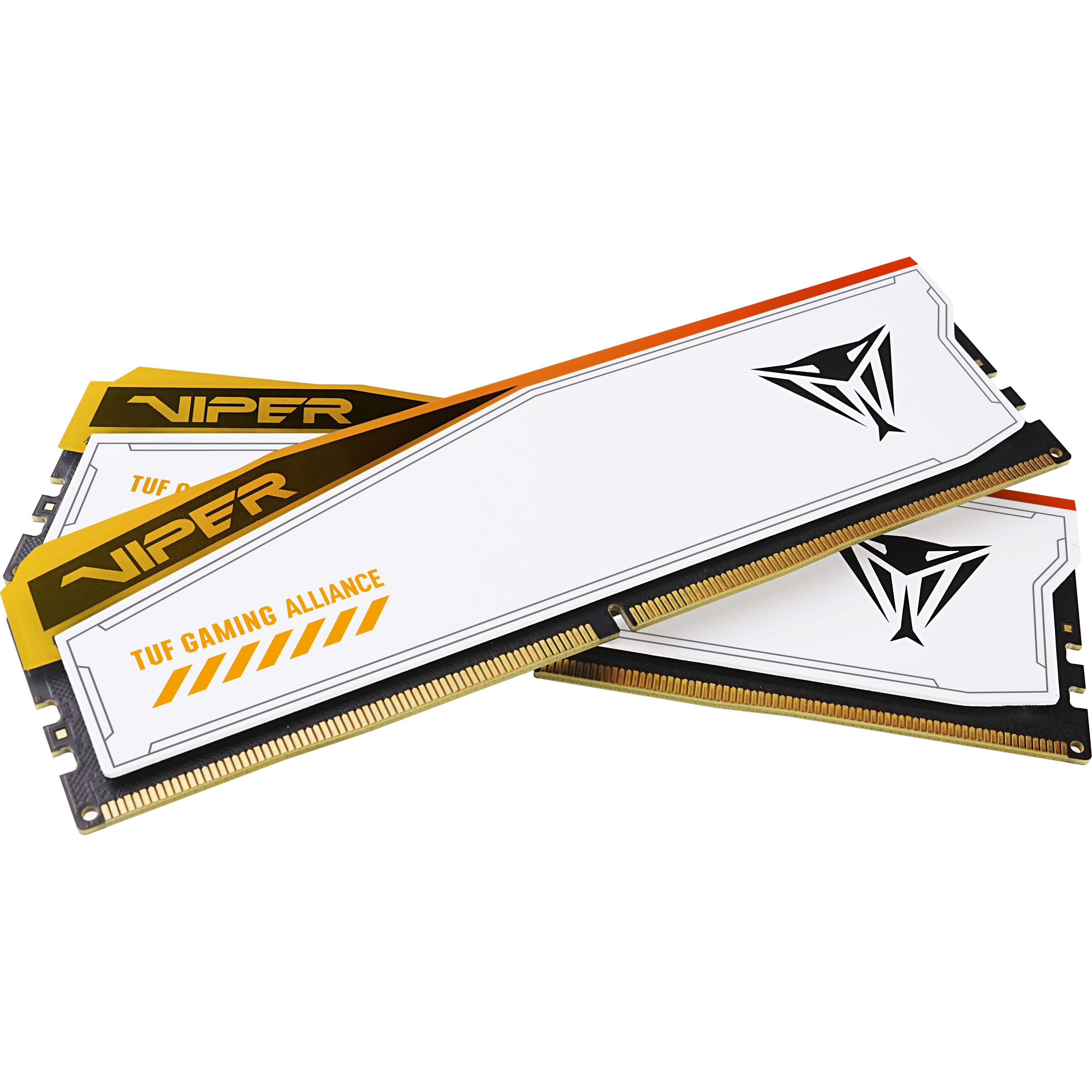 Patriot Memory Viper Elite 5 RGB TUF DDR5 2x24Gb PVER548G60C36KT