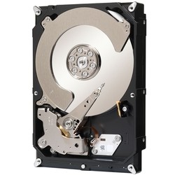 Seagate ST2000NC001