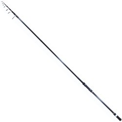 Salmo Elite Tele Carp 3223-360