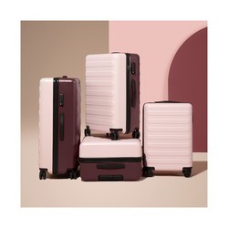 Ninetygo Rhine Luggage  20 (розовый)
