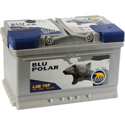 Baren Polar Blu 6CT-54R