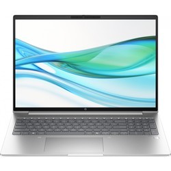 HP ProBook 460 G11 [460G11 8Z677AVV3]