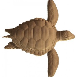 Сartonic Turtle