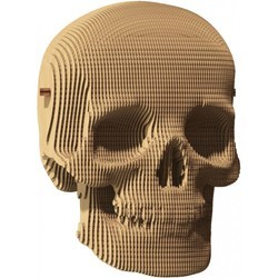 Сartonic Skull