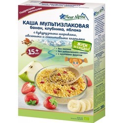 FLEUR Dairy-Free Porridge 15 200