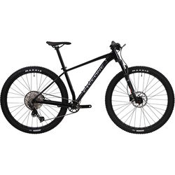 Cyclone ALX 29 2024 frame M