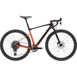 Giant Revolt X Advanced Pro 1 2023 frame XS