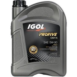 Igol Profive F948 5W-20 2&nbsp;л