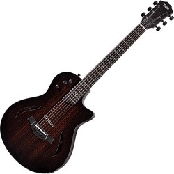 Taylor T5z Classic - Rosewood