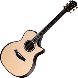 Taylor Builder's Edition 914ce - Spruce
