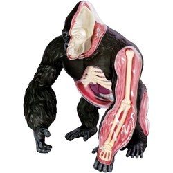 4D Master Gorilla 622012