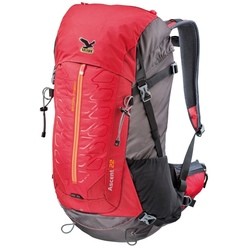 Salewa Ascent 22