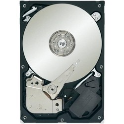 Seagate ST4000DM000