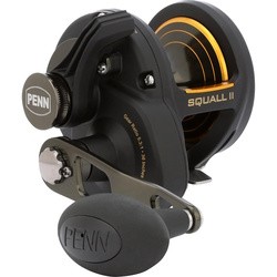 PENN Squall II 20NLD