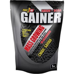 Power Pro Gainer Mass Growing 4&nbsp;кг