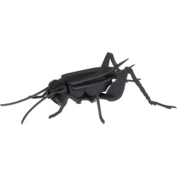 Fridolin Cricket 11603