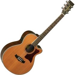 Tanglewood TW45 NS B