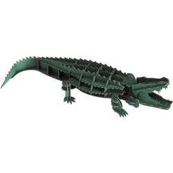 Fridolin Crocodile 11631