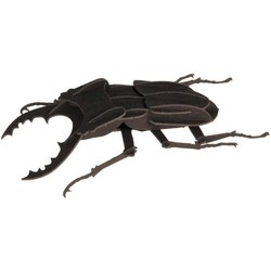 Fridolin Stag Beetle 11606