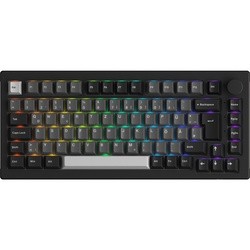 Akko Black&Silver 5075B Plus ISO Cream  Blue Pro Switch
