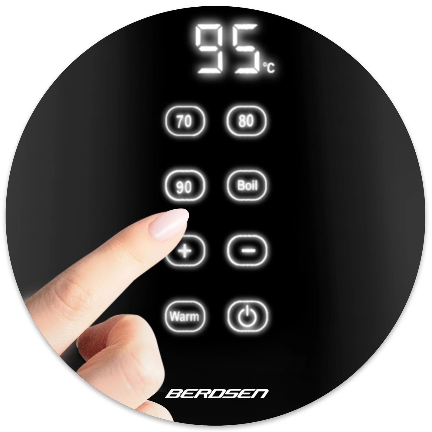 Berdsen BD-706 2200&nbsp;Вт 1.7&nbsp;л  черный