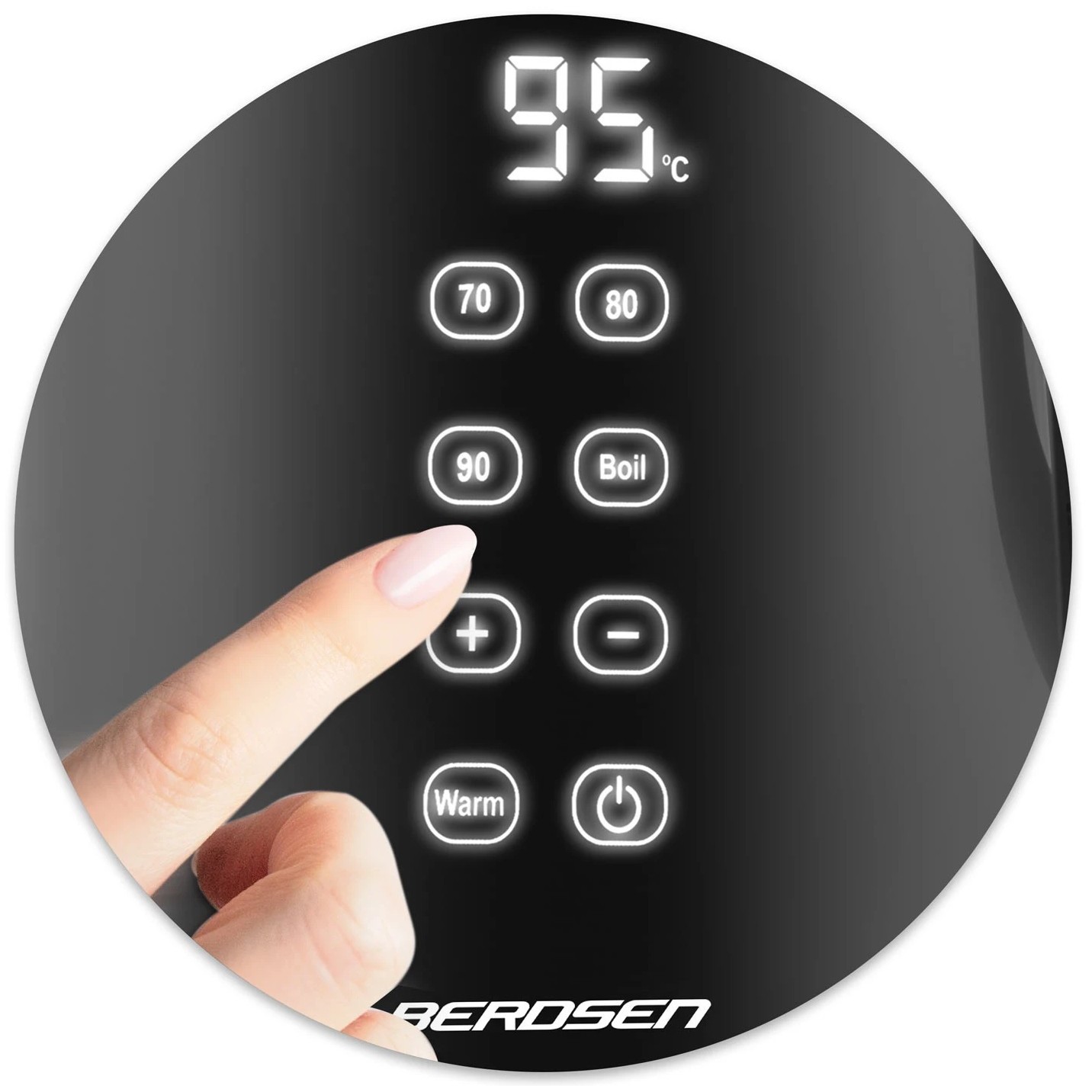 Berdsen BD-707 2200&nbsp;Вт 1.7&nbsp;л  черный