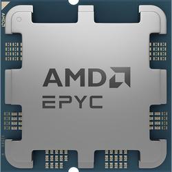 AMD Raphael EPYC 4124P OEM