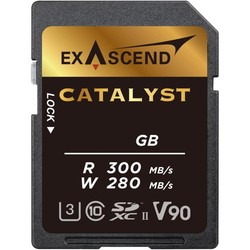 Exascend Catalyst UHS-II V90 SDXC 256&nbsp;ГБ